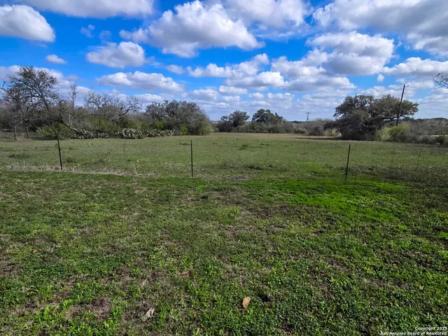 a view of a flower in a garden