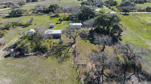 a small yard with lots of flowers