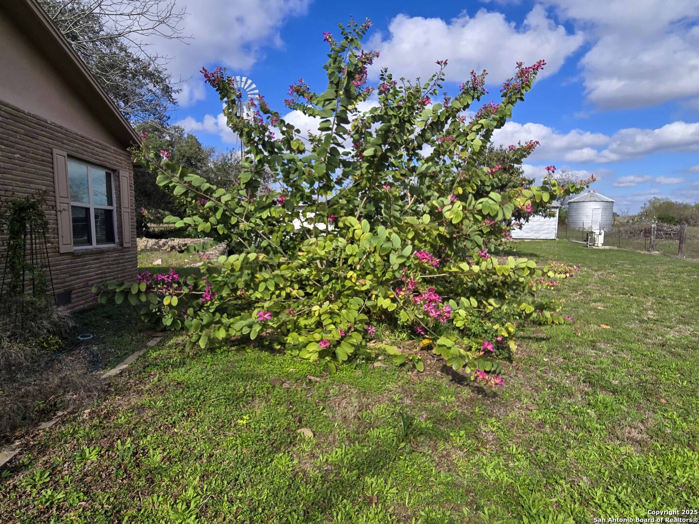 1173 Charco Road Beeville, TX 78102 - Photo 17 of 39 a view of a flower in a garden