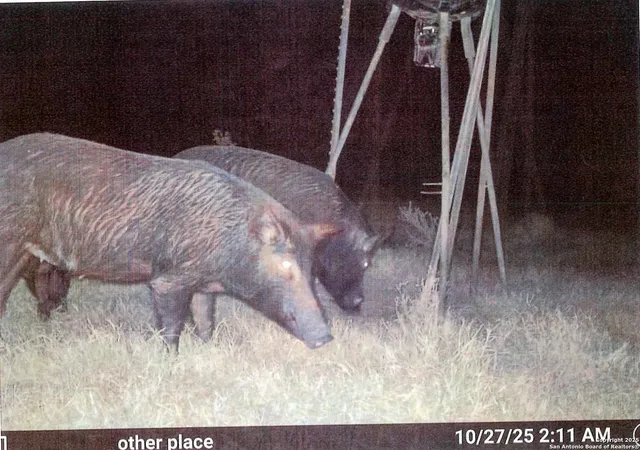a view of a livingroom with furniture