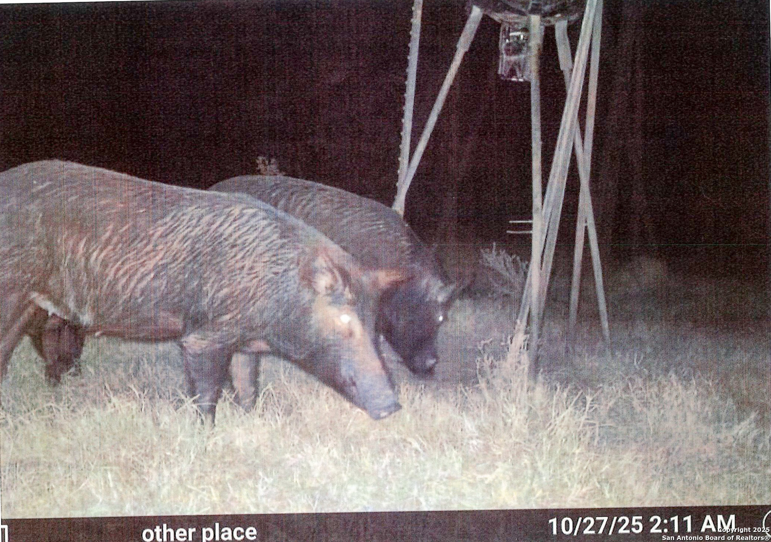 1173 Charco Road Beeville, TX 78102 - Photo 19 of 39 a picture of a room
