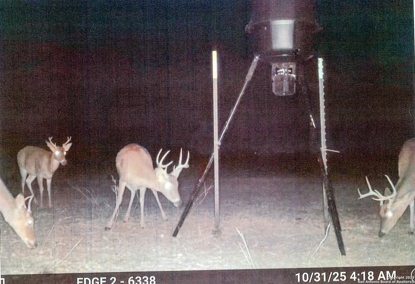 1173 Charco Road Beeville, TX 78102 - Photo 2 of 39 a view of a dining room with furniture