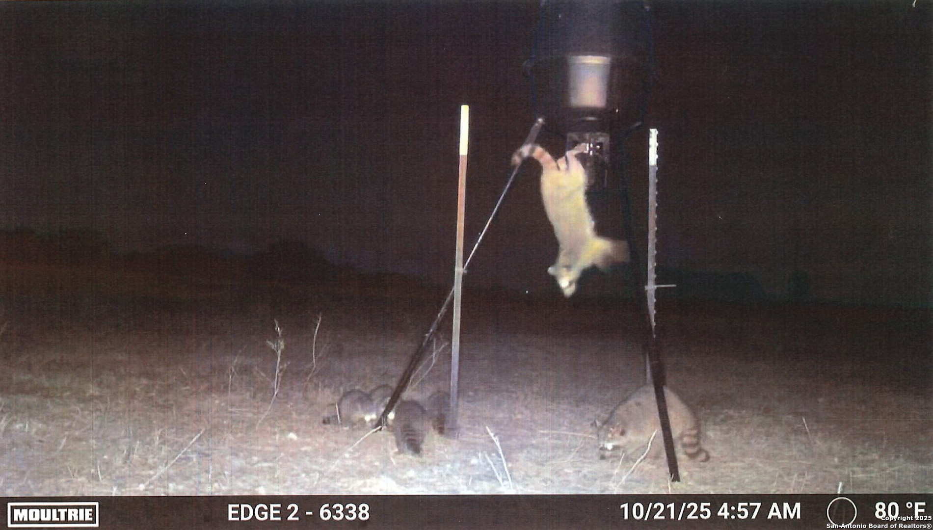 1173 Charco Road Beeville, TX 78102 - Photo 21 of 39 a view of a room