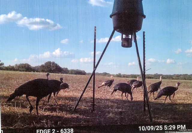a view of balcony and patio