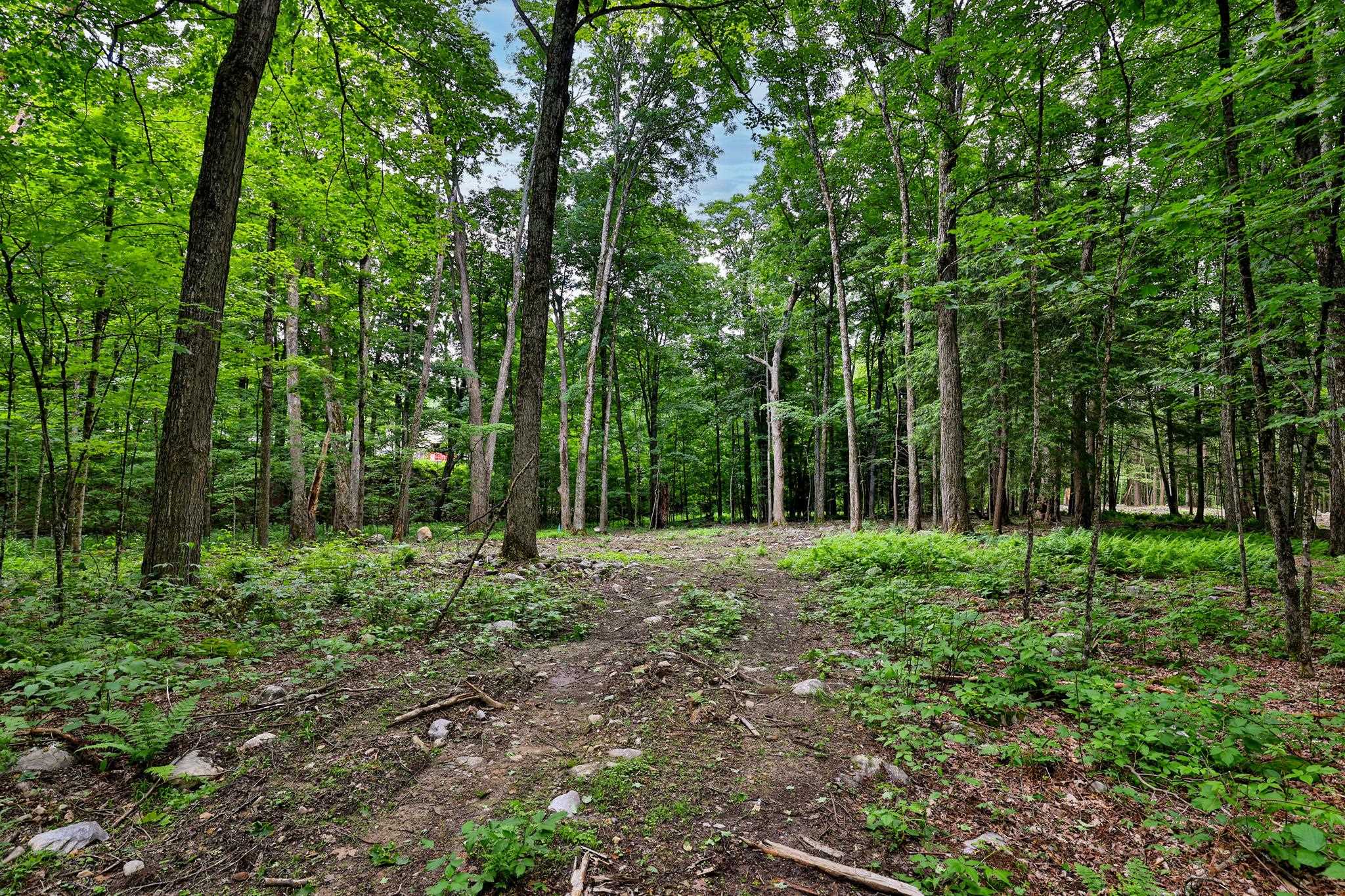 0 Cedar Lane, Unit LOT #2 Rutland, VT 05701 - Photo 2 of 18