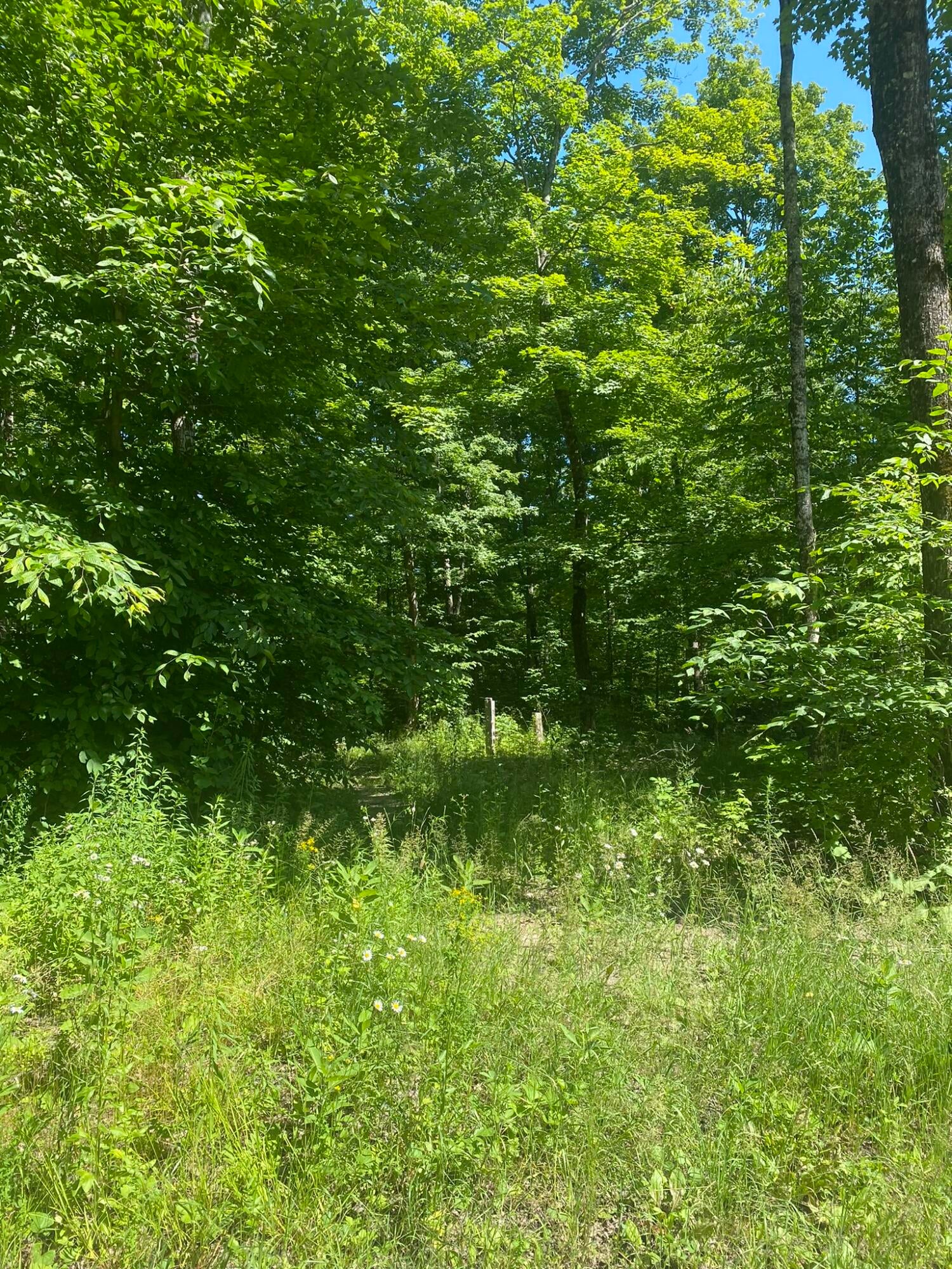 4501 E East Simmons Road Hessel, MI 49745 - Photo 7 of 36 Gallery Image 7