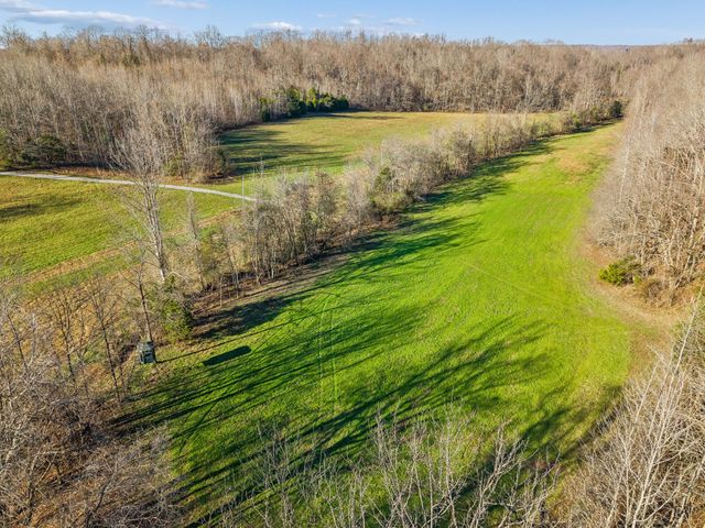 a view of a yard with an outdoor space