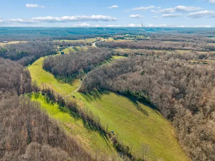 a view of a yard with large trees
