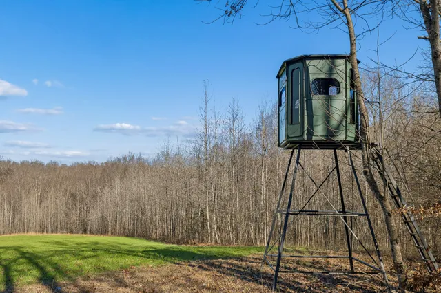 a view of a swimming pool and an outdoor space