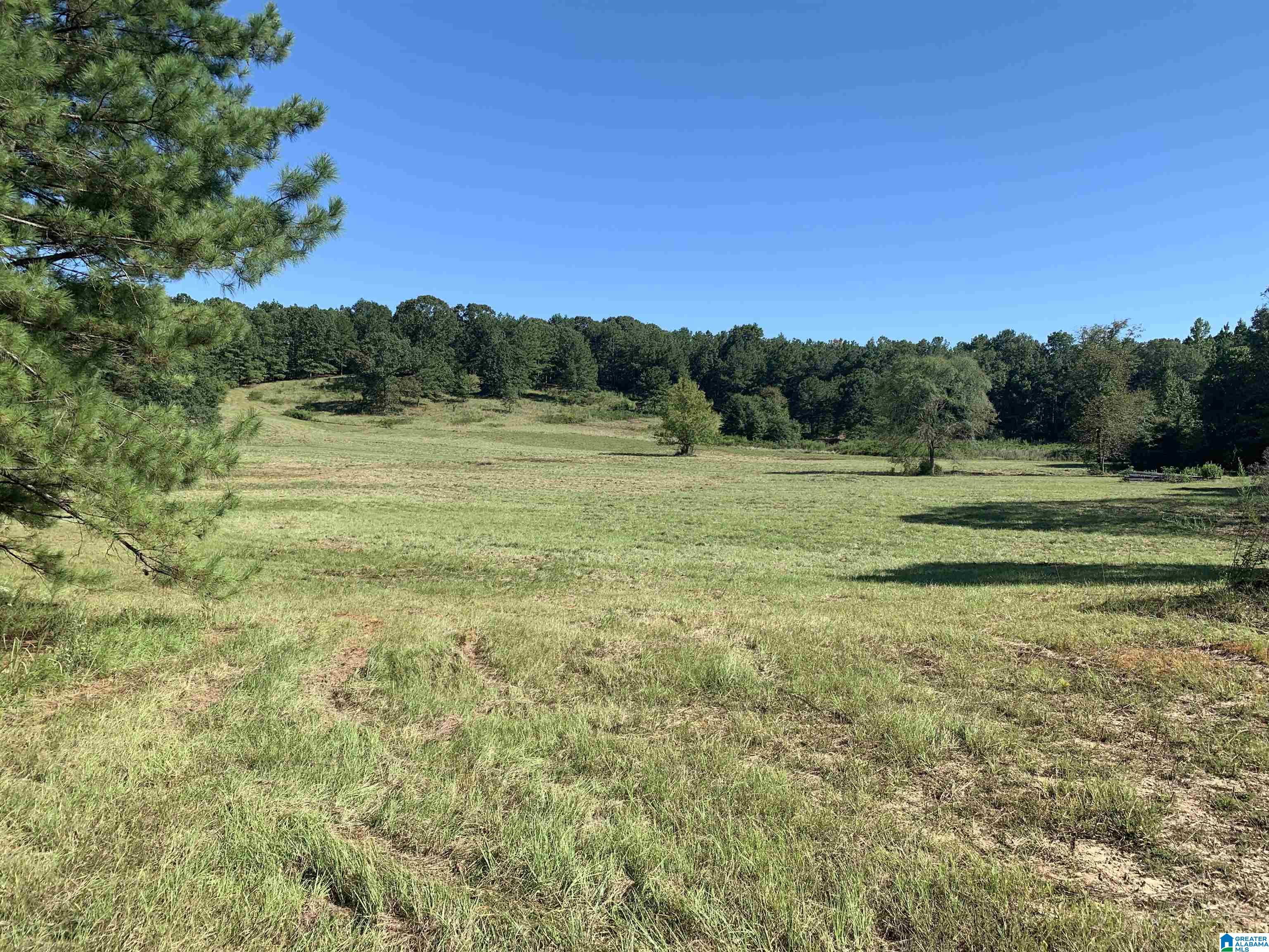 2020 Church Road, Unit 2020 Pell City, AL 35128 - Photo 6 of 16