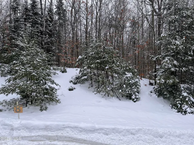 $65,000 | 8 Mountain Path, Johnsburg, NY 12853