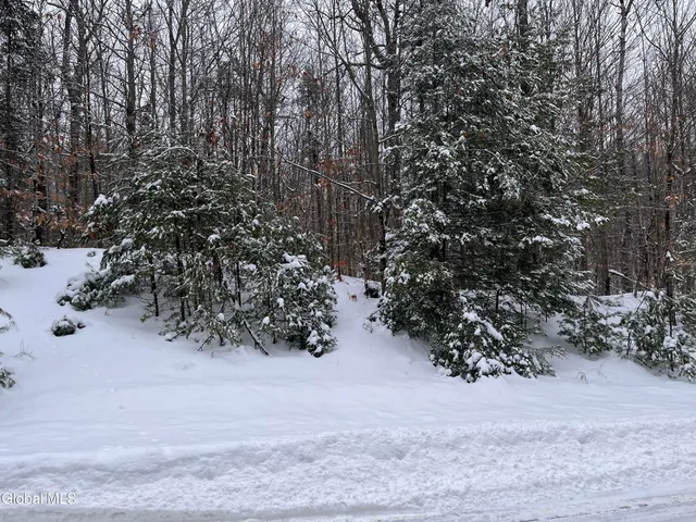 $65,000 | 8 Mountain Path, Johnsburg, NY 12853