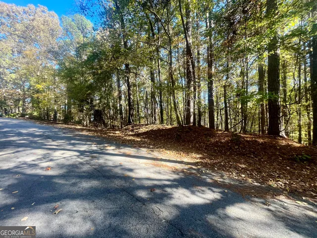 $14,000 | 0 Chickadee Court, Unit 209, Monticello, GA 31064