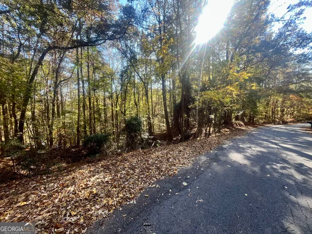 $14,000 | 0 Chickadee Court, Unit 209, Monticello, GA 31064