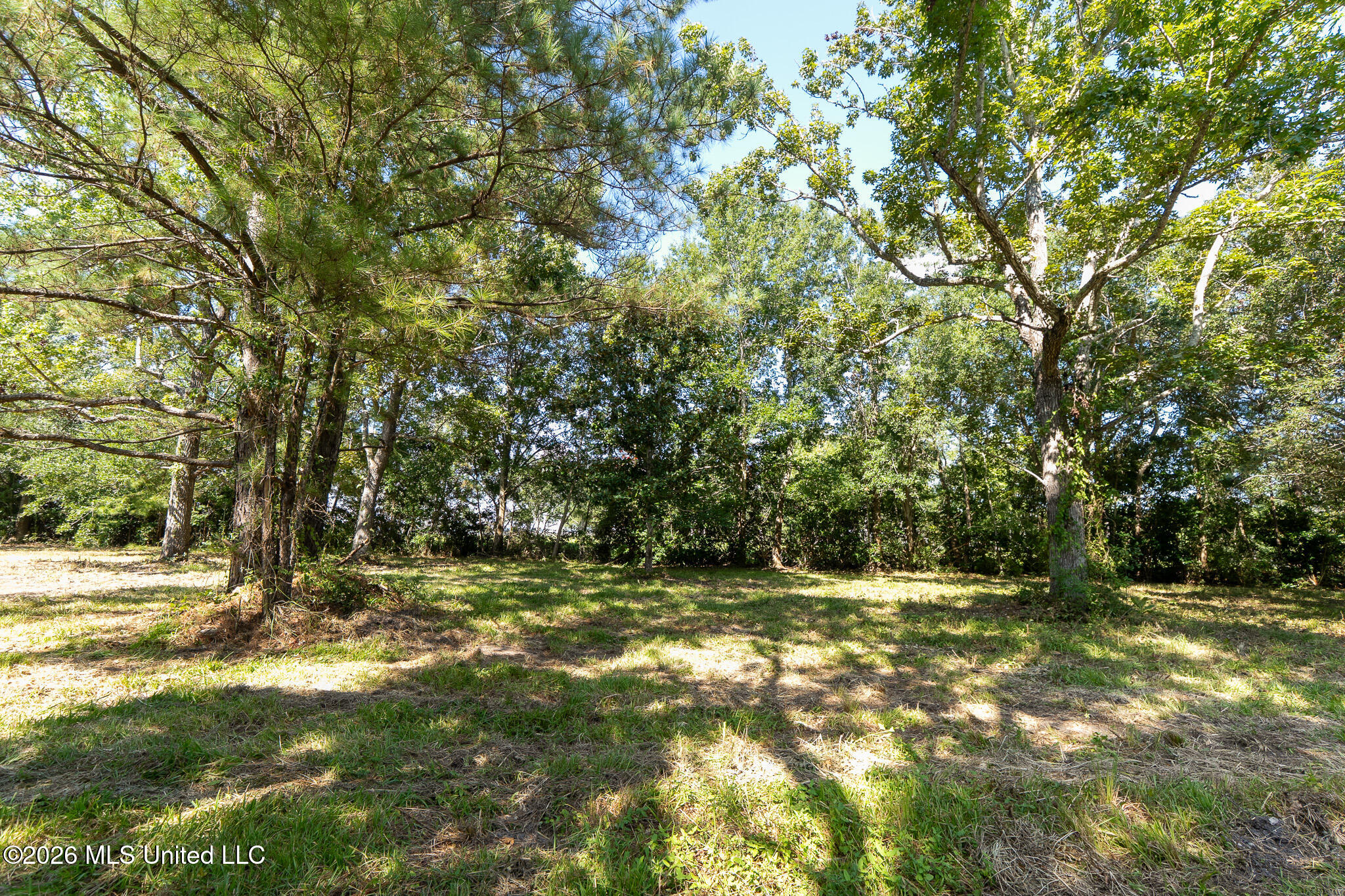 10232 Goodman Road D'Iberville, MS 39540 - Photo 3 of 12 _DSC5355