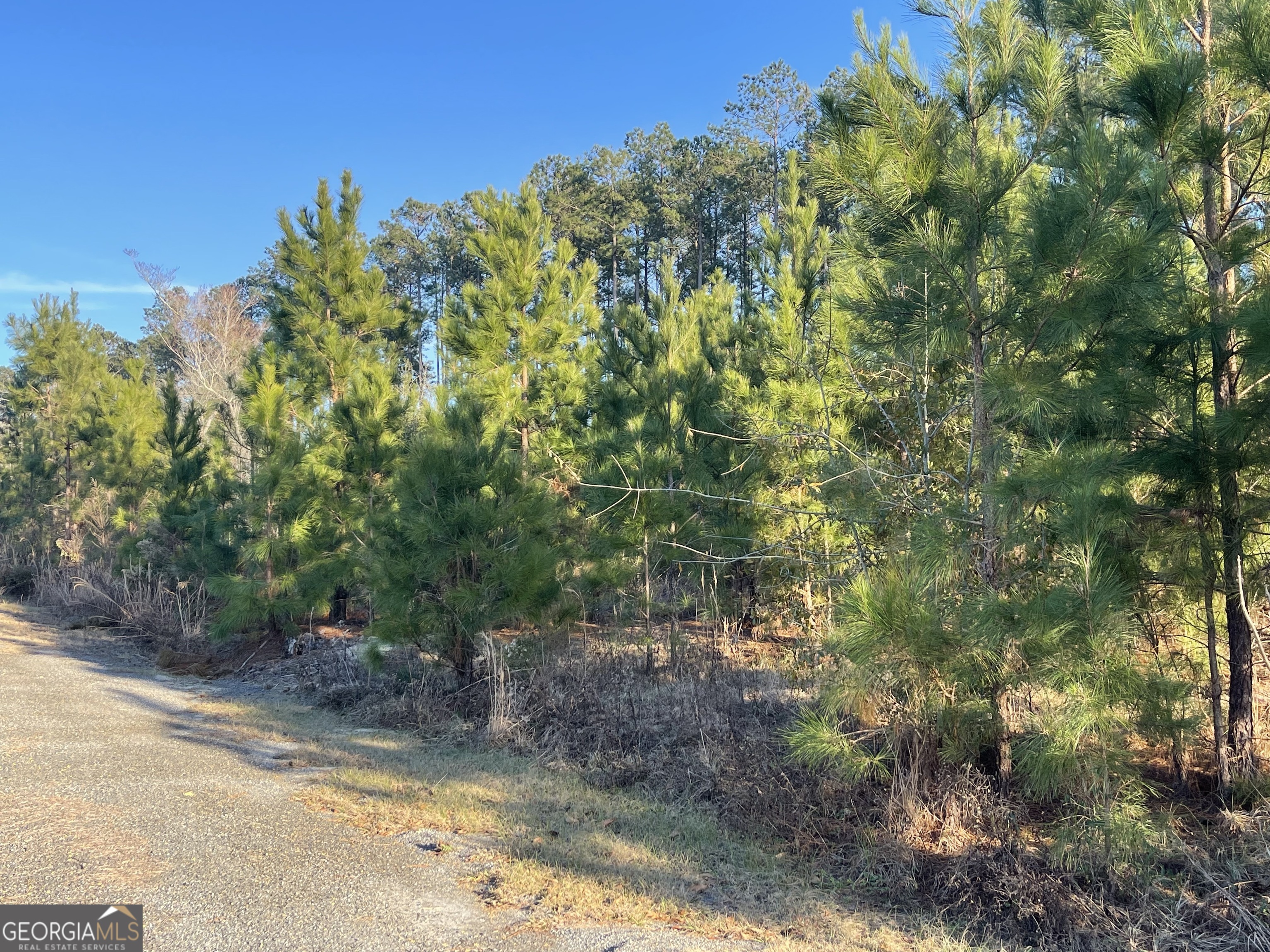 275 Marchants Dairy Road Rhine, GA 31077 - Photo 17 of 40