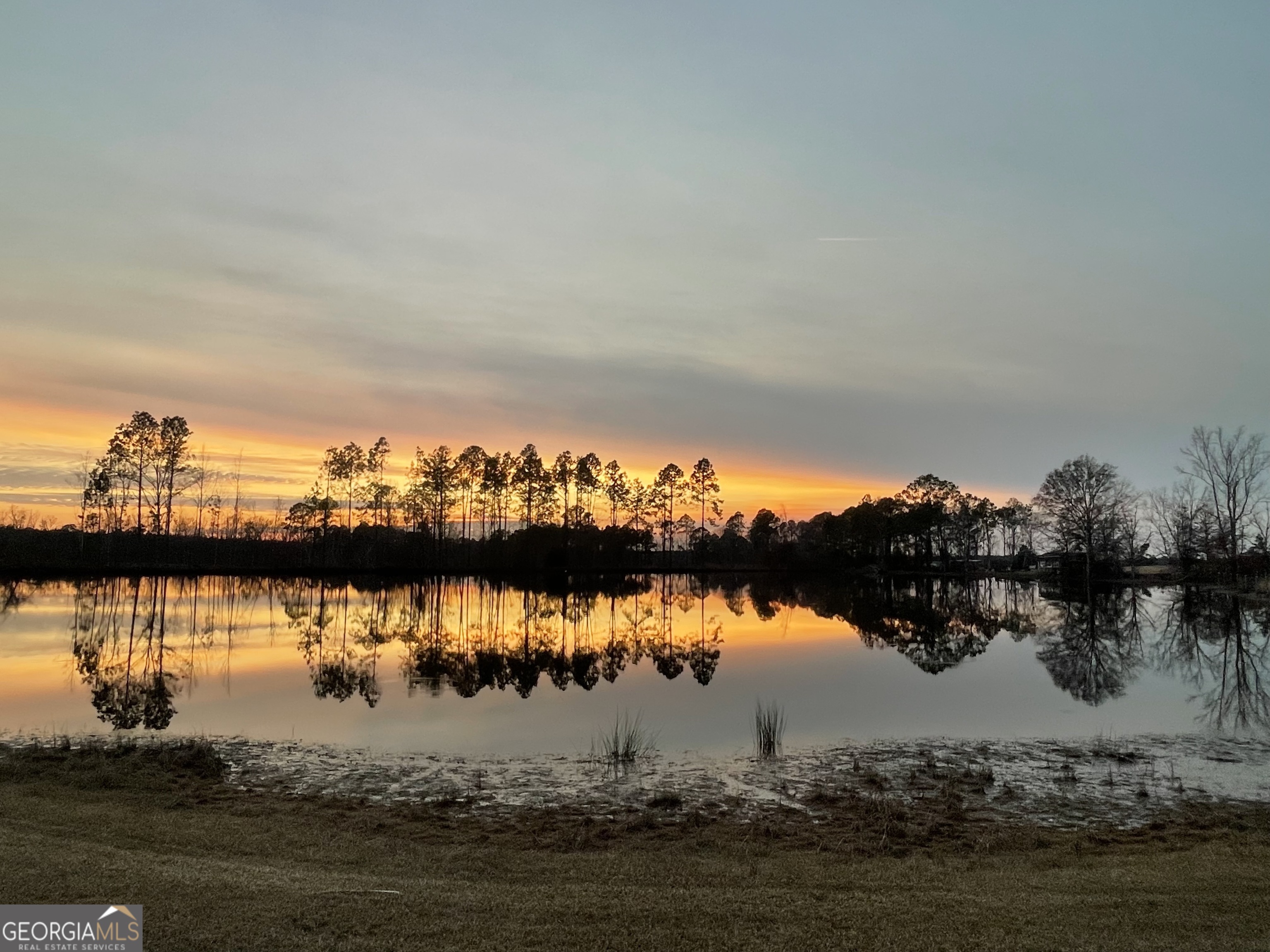 275 Marchants Dairy Road Rhine, GA 31077 - Photo 2 of 42 a view of lake