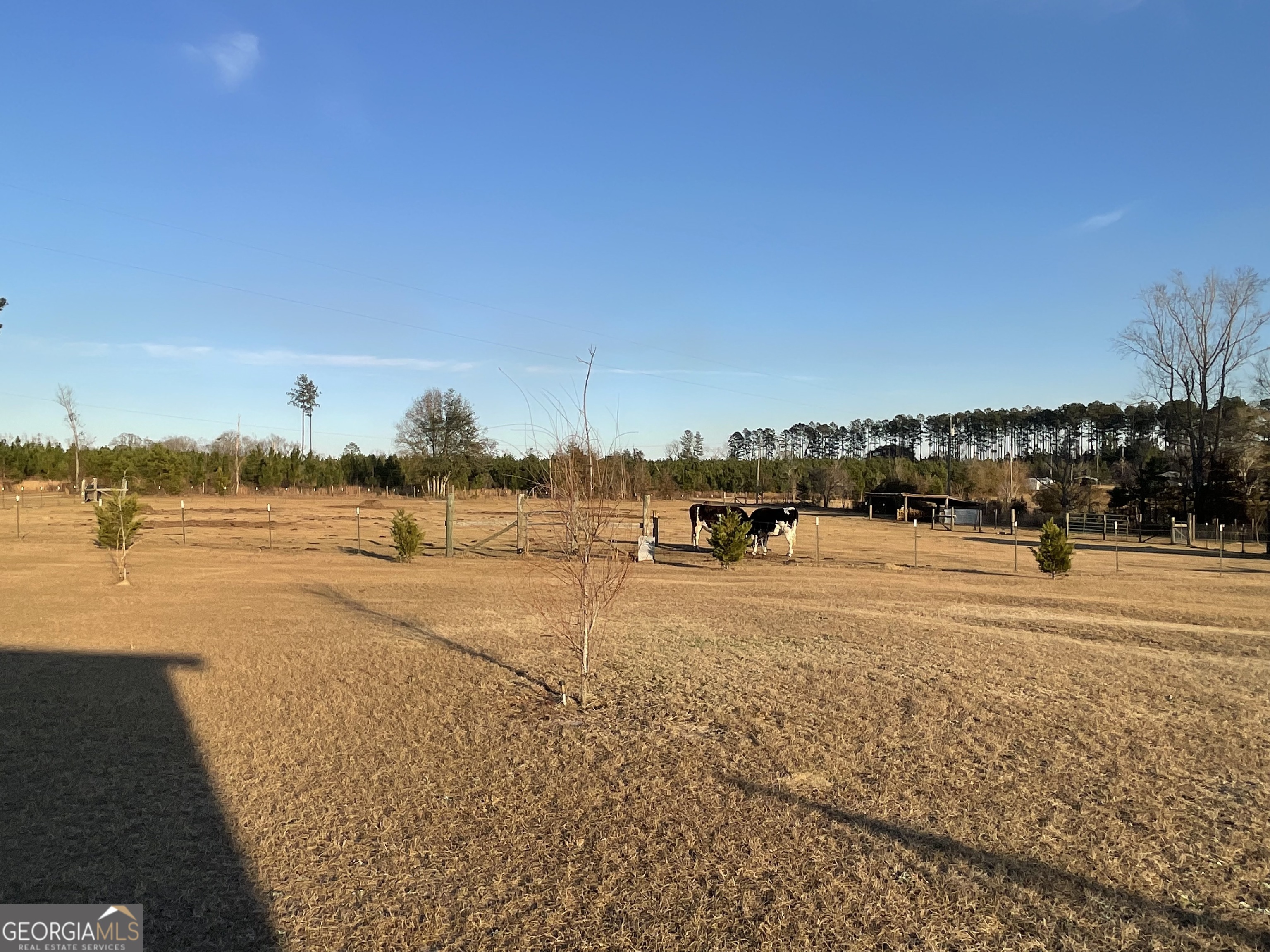 275 Marchants Dairy Road Rhine, GA 31077 - Photo 21 of 42 a view of an ocean beach