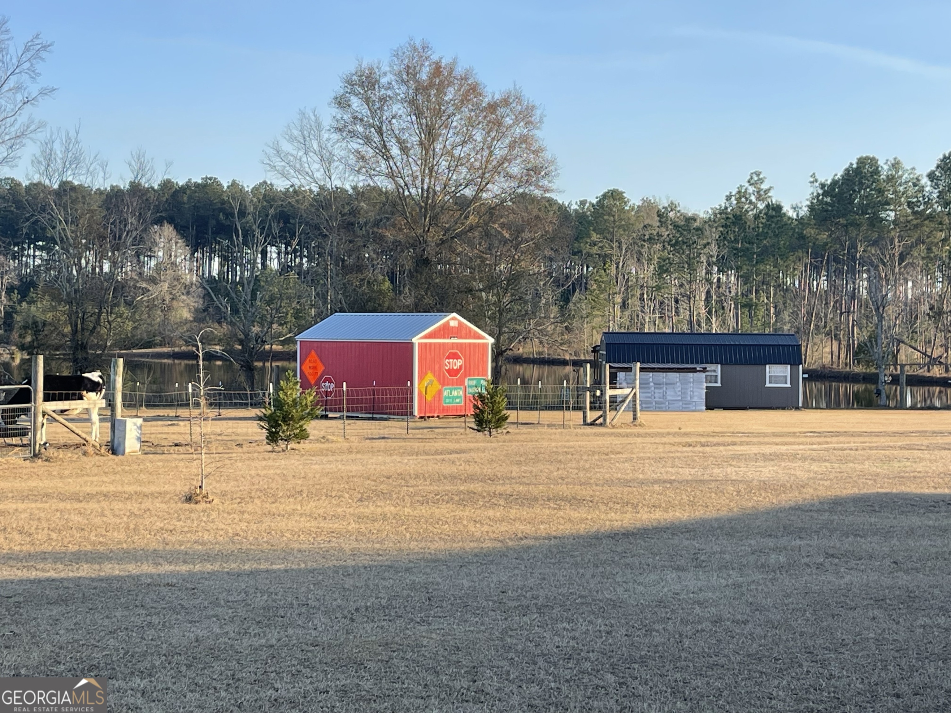 275 Marchants Dairy Road Rhine, GA 31077 - Photo 22 of 40