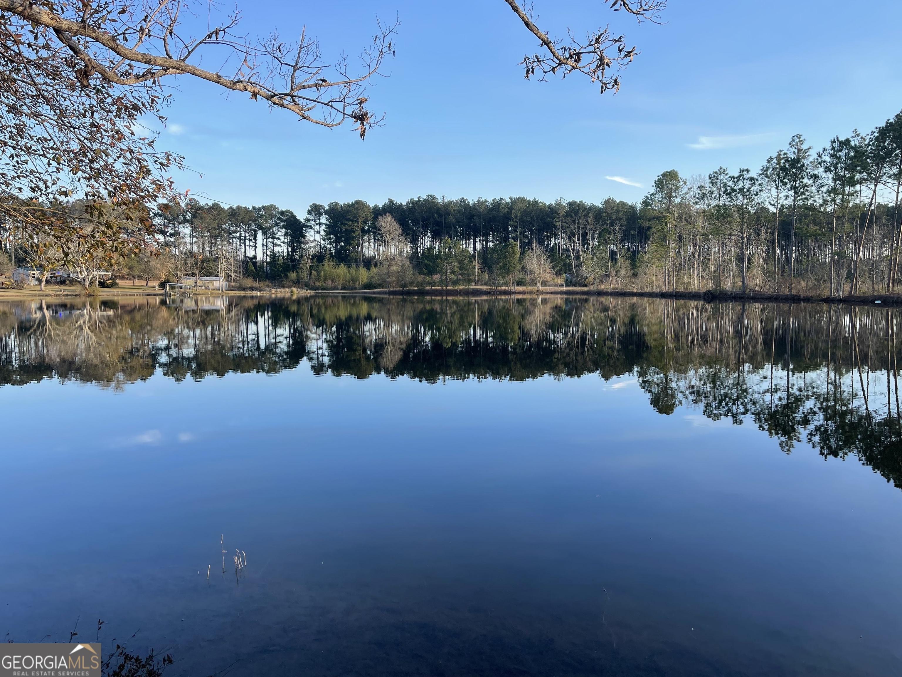 275 Marchants Dairy Road Rhine, GA 31077 - Photo 25 of 42 a view of lake