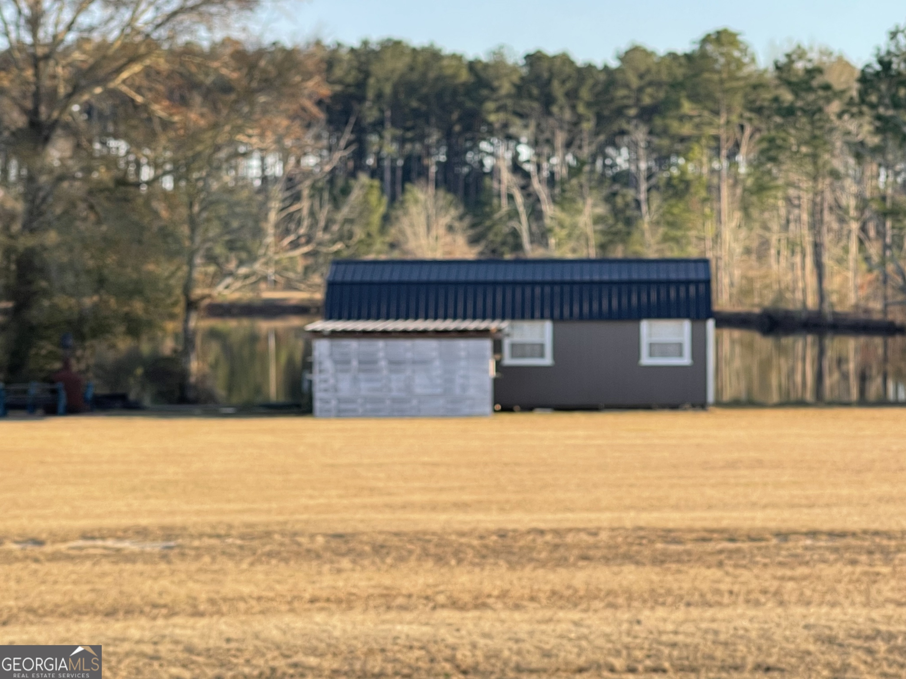 275 Marchants Dairy Road Rhine, GA 31077 - Photo 30 of 42 a view of a lake with a house