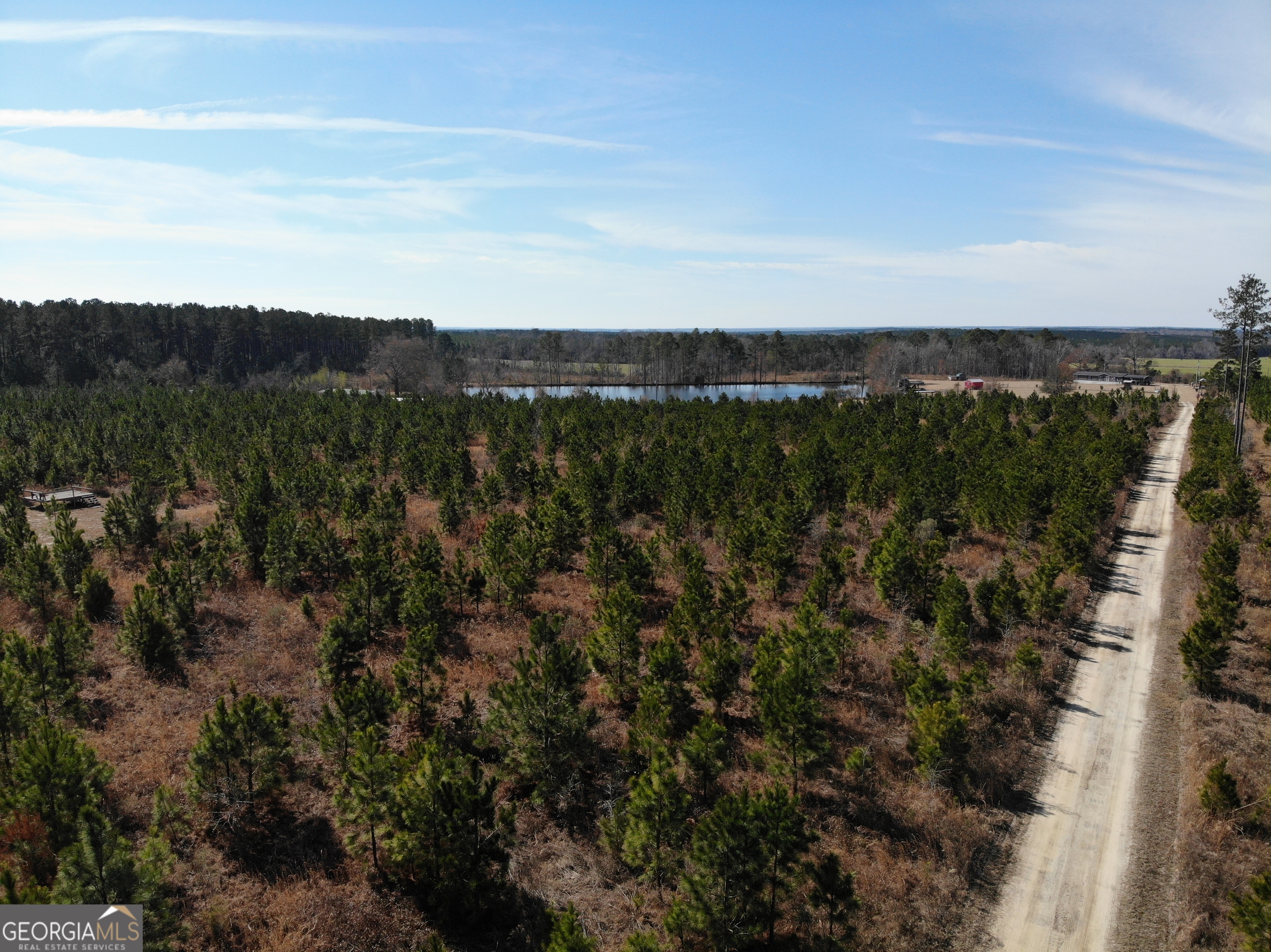 275 Marchants Dairy Road Rhine, GA 31077 - Photo 34 of 42 a view of mountain with lake view