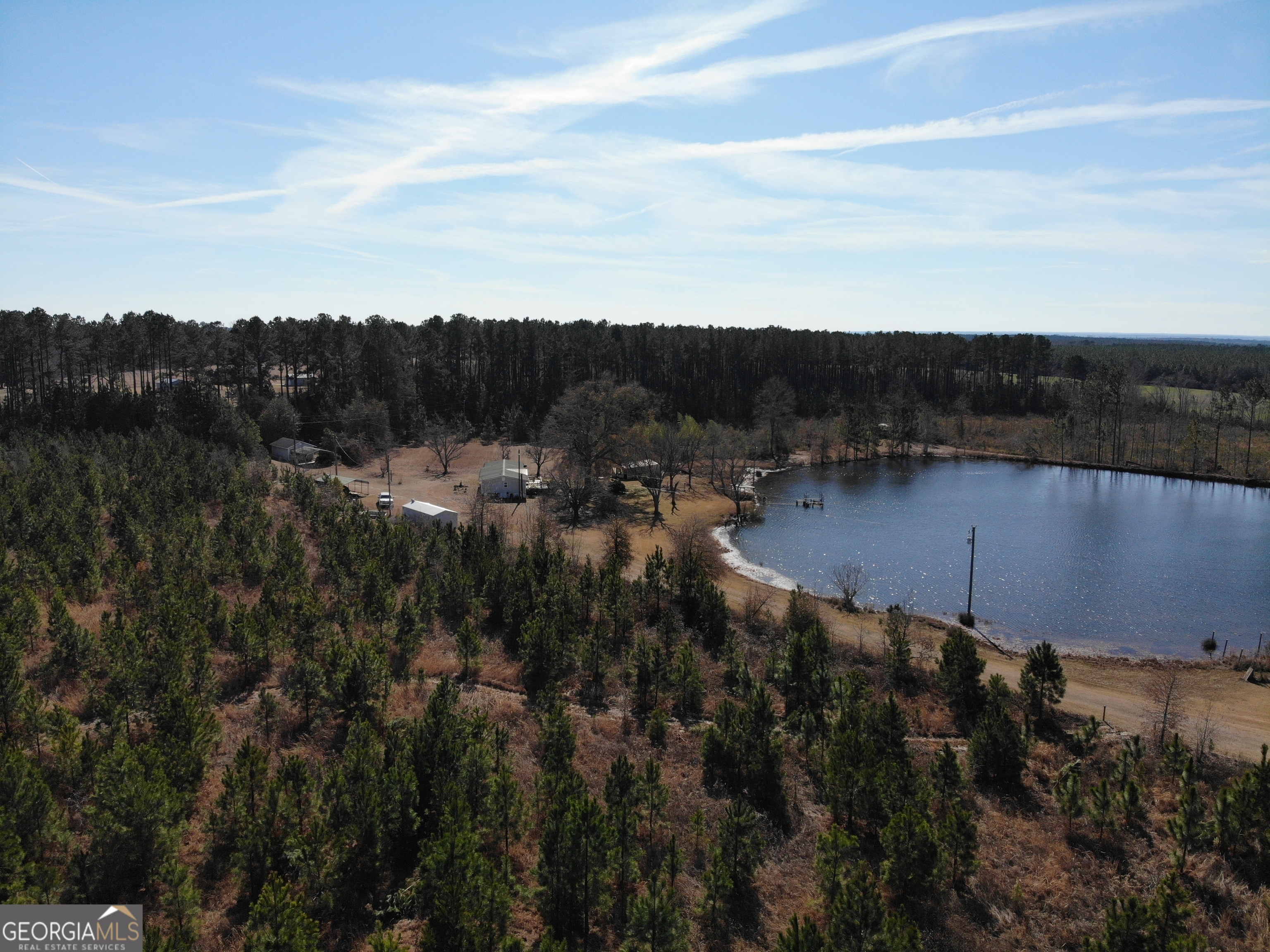 275 Marchants Dairy Road Rhine, GA 31077 - Photo 35 of 42 a view of a lake in middle of forest