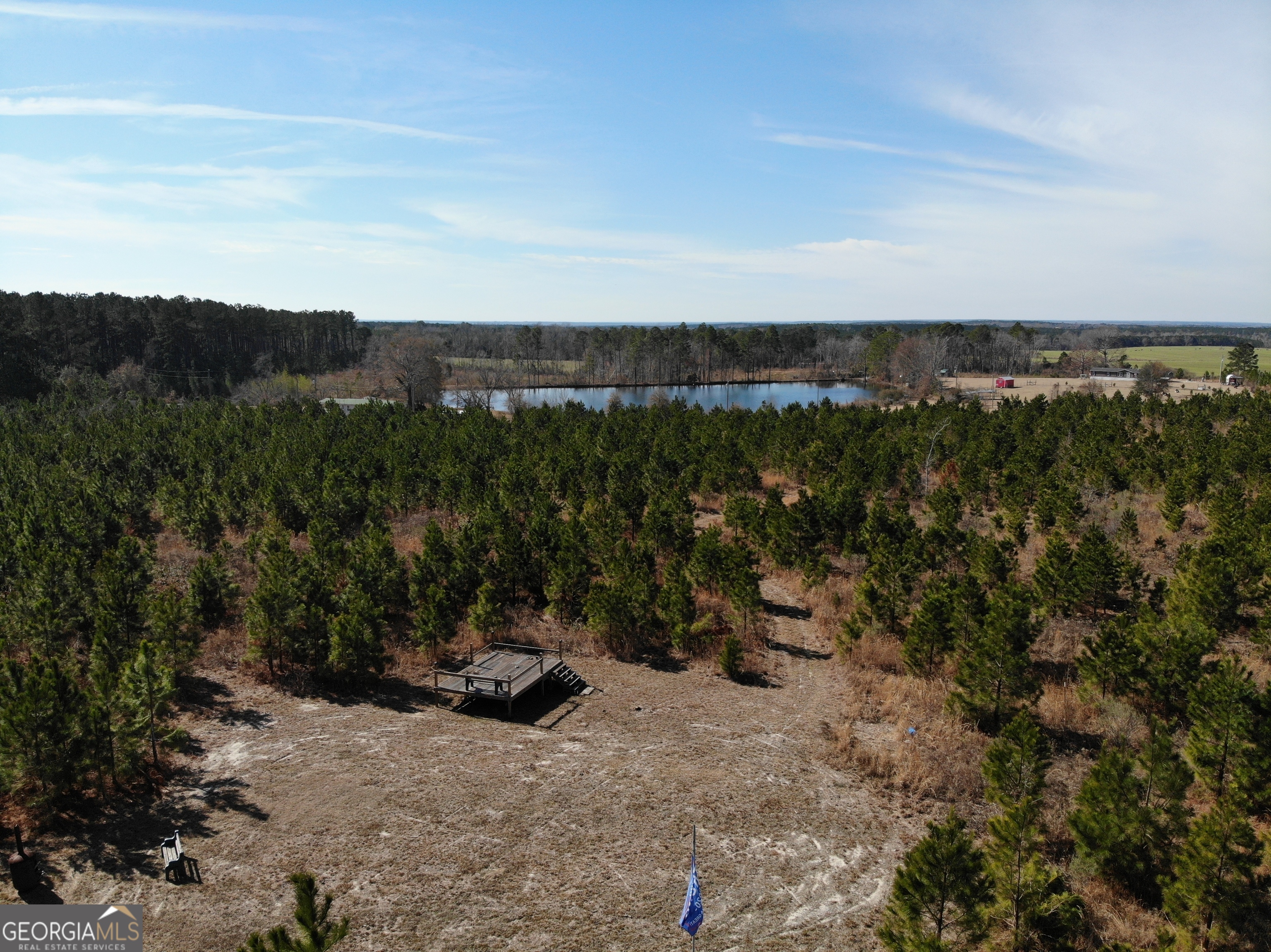 275 Marchants Dairy Road Rhine, GA 31077 - Photo 37 of 42 a view of a lake with outdoor space