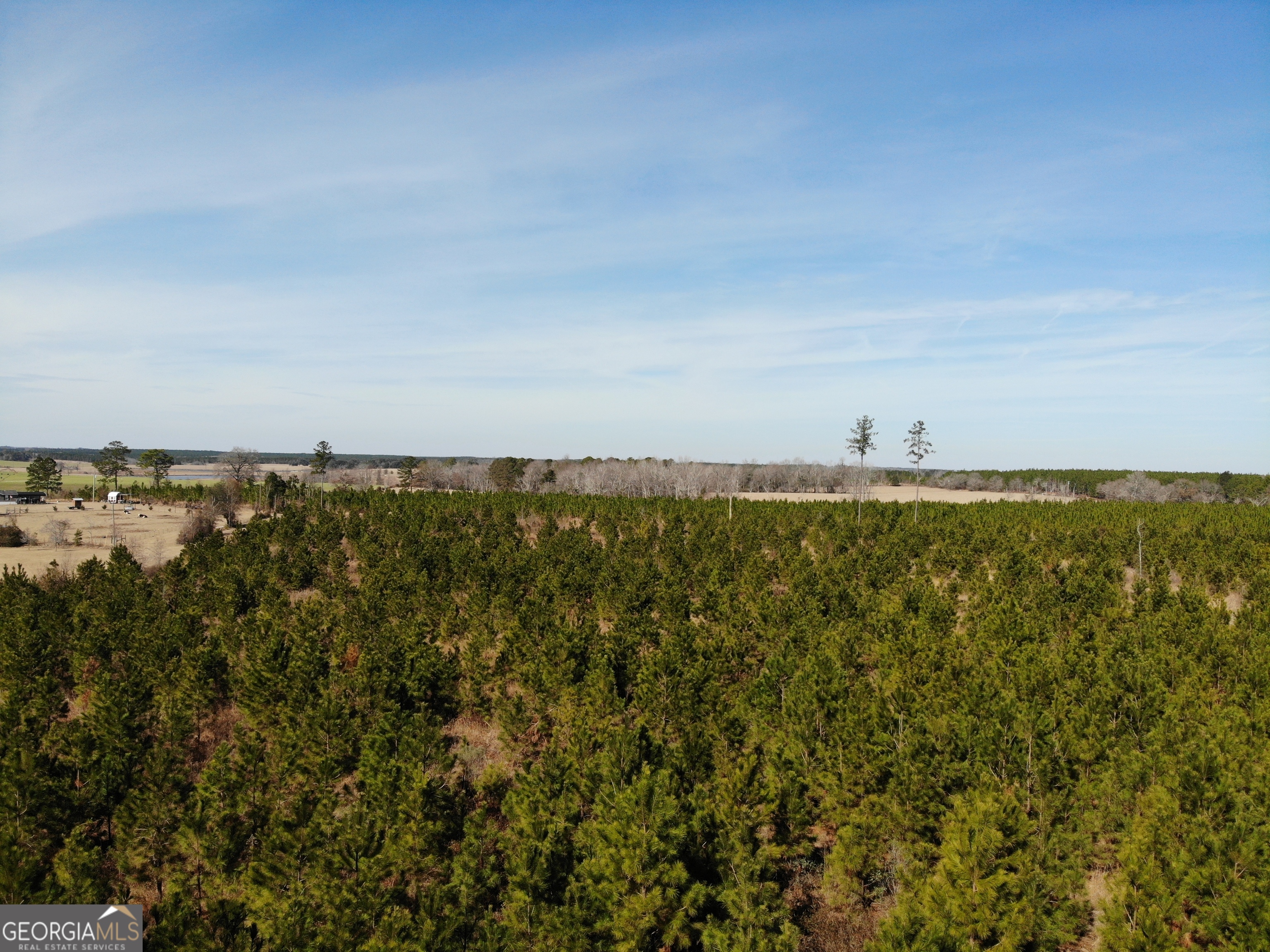 275 Marchants Dairy Road Rhine, GA 31077 - Photo 42 of 42 a view of a large body of water with lots of trees in the background