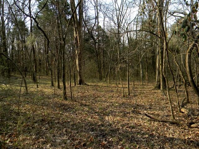 0 Elmore Road College Grove, TN 37046 - Photo 11 of 18 Gallery Image 11