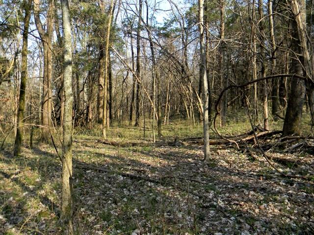 0 Elmore Road College Grove, TN 37046 - Photo 17 of 18 Gallery Image 17