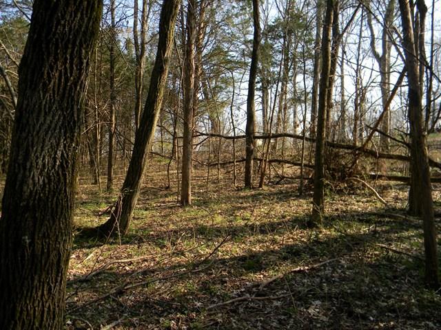 0 Elmore Road College Grove, TN 37046 - Photo 18 of 18 Gallery Image 18