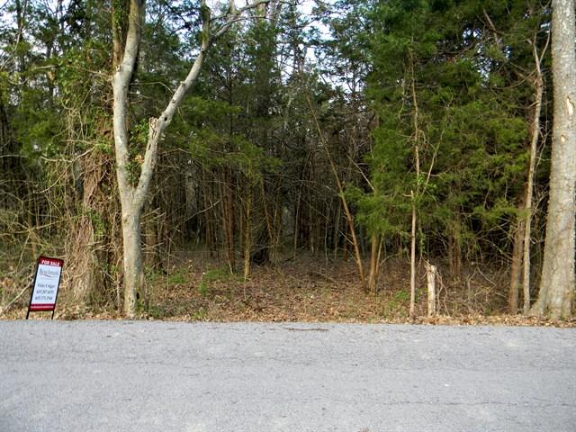 0 Elmore Road College Grove, TN 37046 - Photo 2 of 18 Gallery Image 2