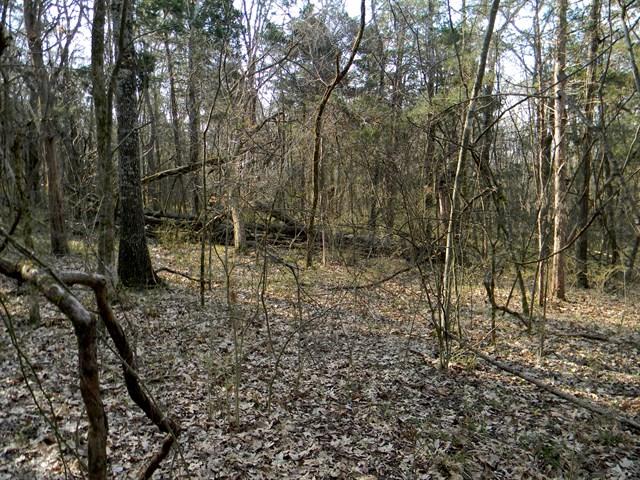 0 Elmore Road College Grove, TN 37046 - Photo 7 of 18 Gallery Image 7
