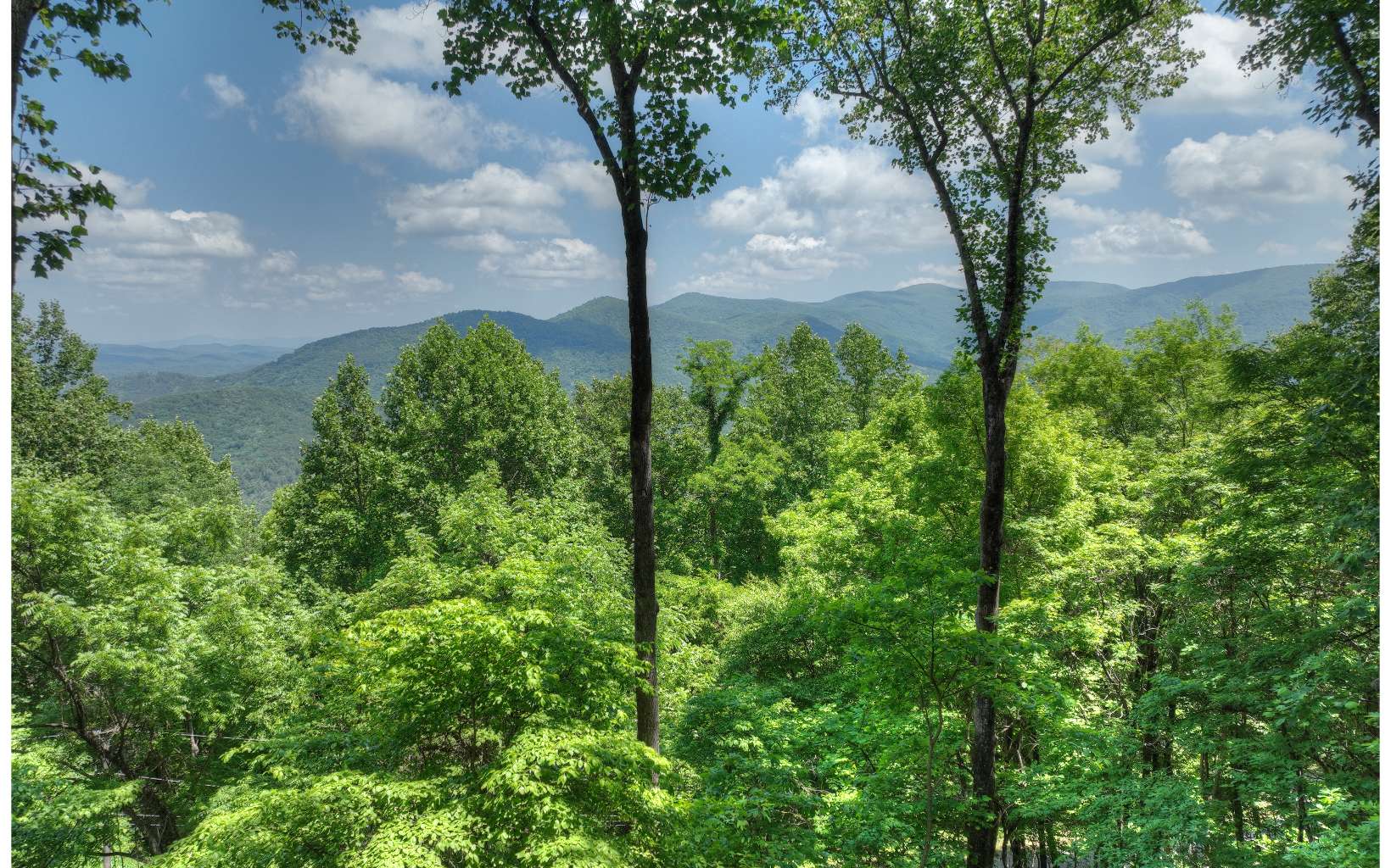 1317 Mountain Oak Road Ellijay, GA 30536 - Photo 2 of 4 Additional View