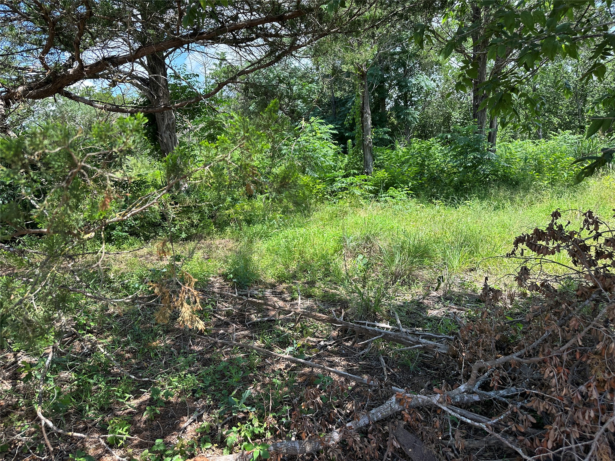 4 Robin Run Bastrop, TX 78602 - Photo 3 of 4 a view of a garden