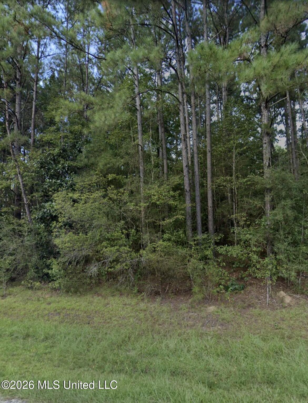 996 Hickory Grove Road Lumberton, MS 39455 - Photo 1 of 5 IMG_2198