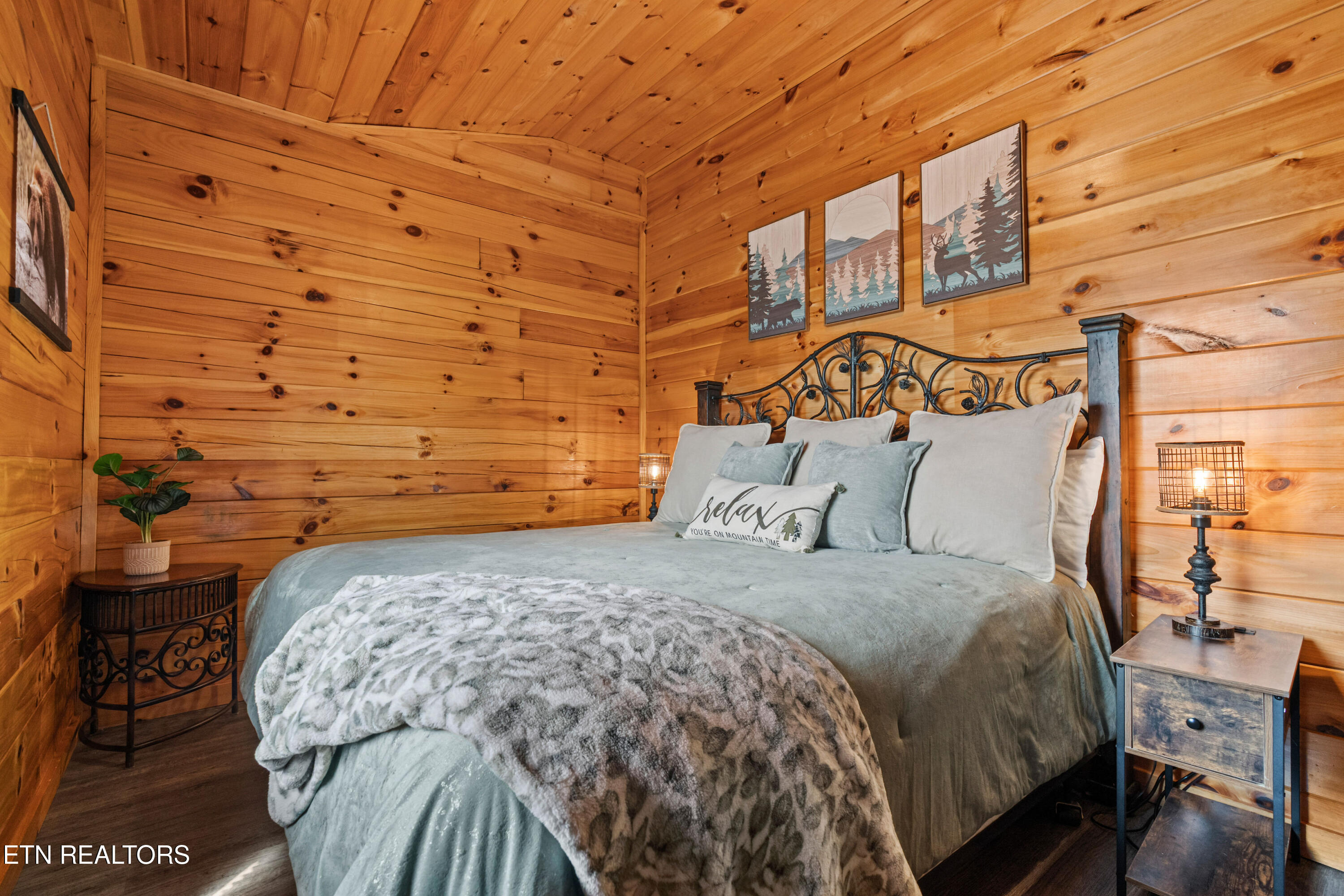 705 Rondayview Lane Sevierville, TN 37876 - Photo 24 of 59 firefly-bluff-26