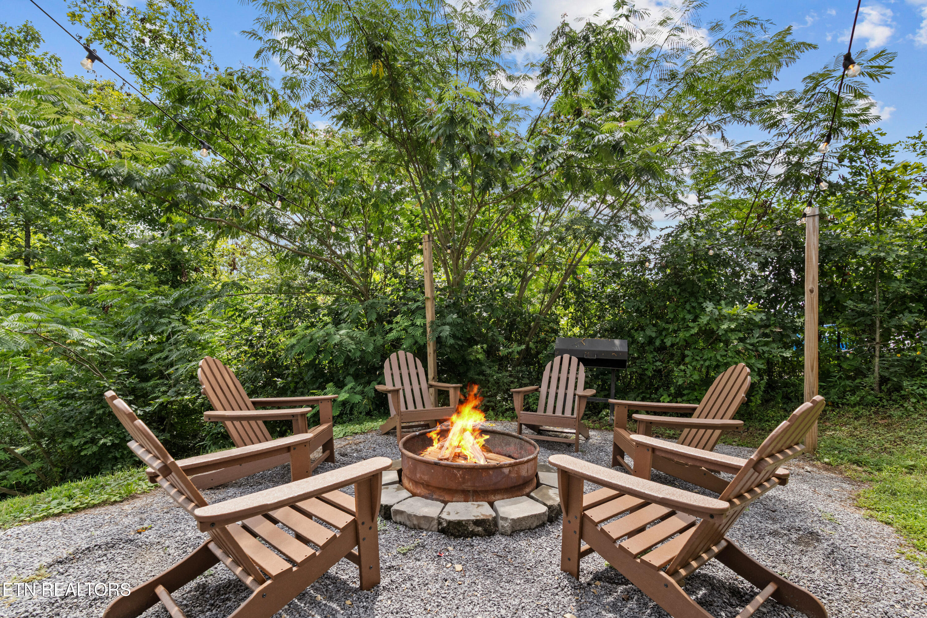 705 Rondayview Lane Sevierville, TN 37876 - Photo 33 of 59 firefly-bluff-54