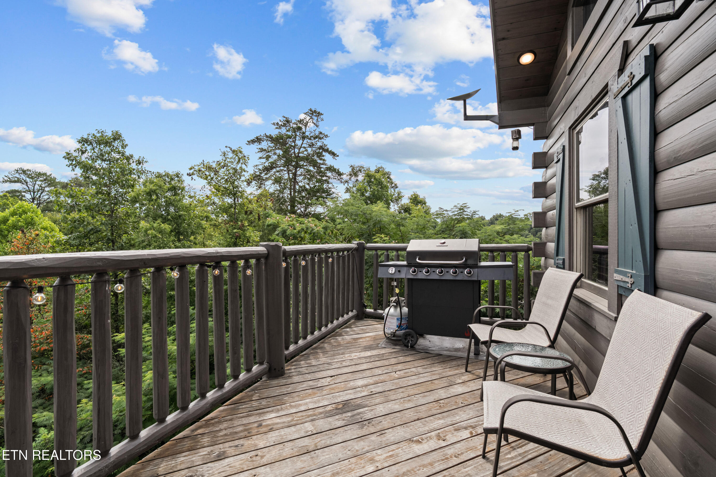 705 Rondayview Lane Sevierville, TN 37876 - Photo 36 of 59 firefly-bluff-30