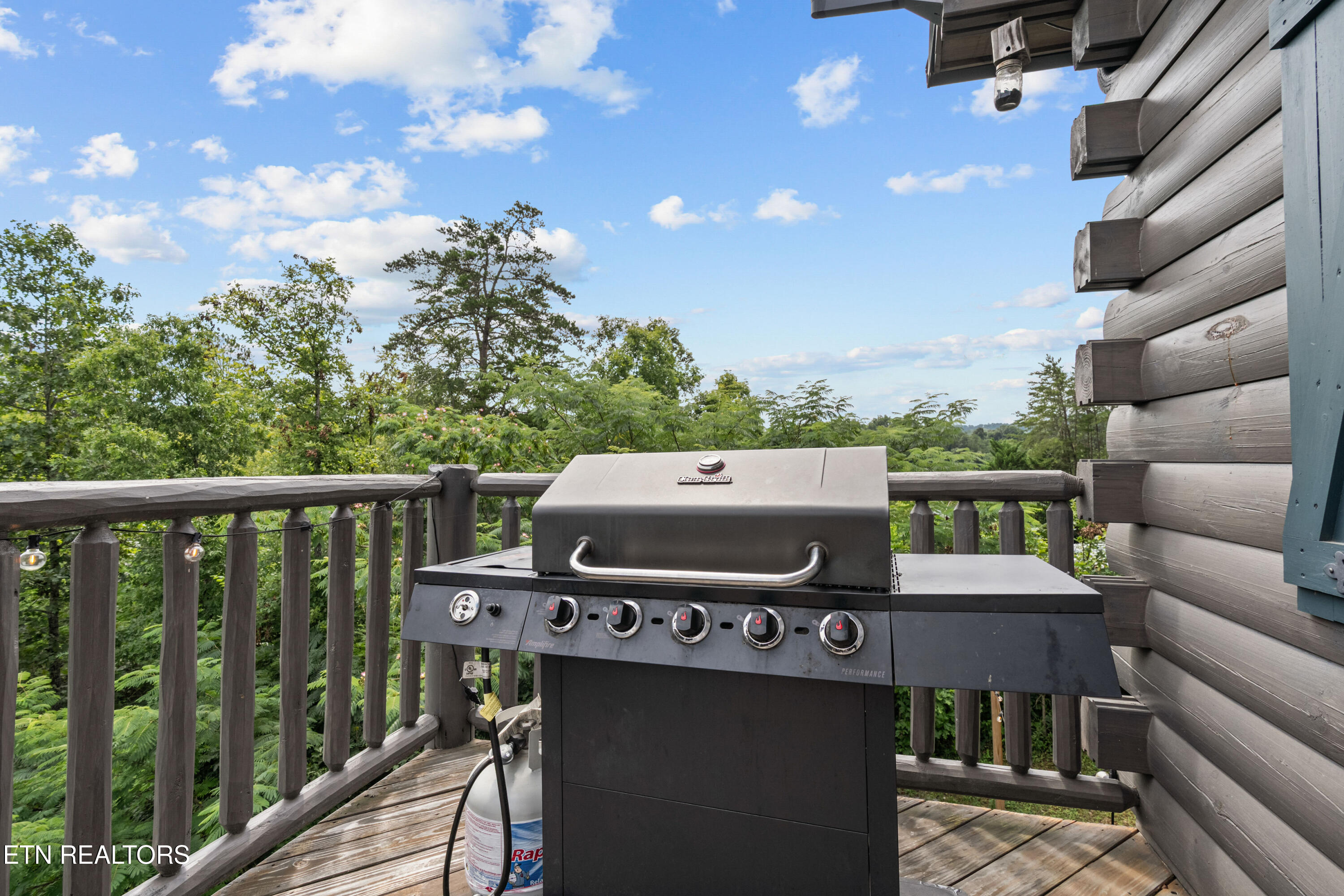 705 Rondayview Lane Sevierville, TN 37876 - Photo 39 of 59 firefly-bluff-31