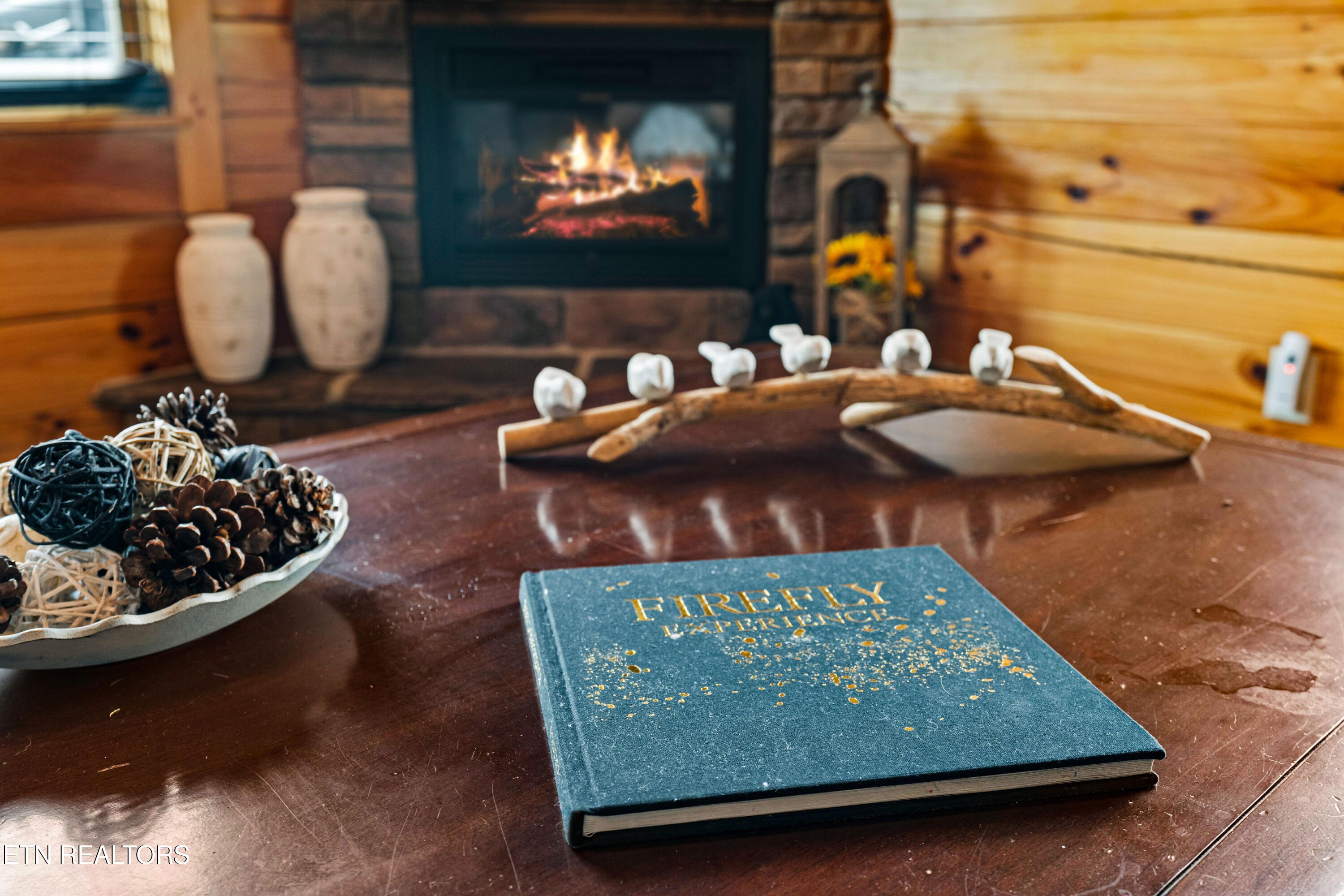 705 Rondayview Lane Sevierville, TN 37876 - Photo 5 of 59 firefly-bluff-9