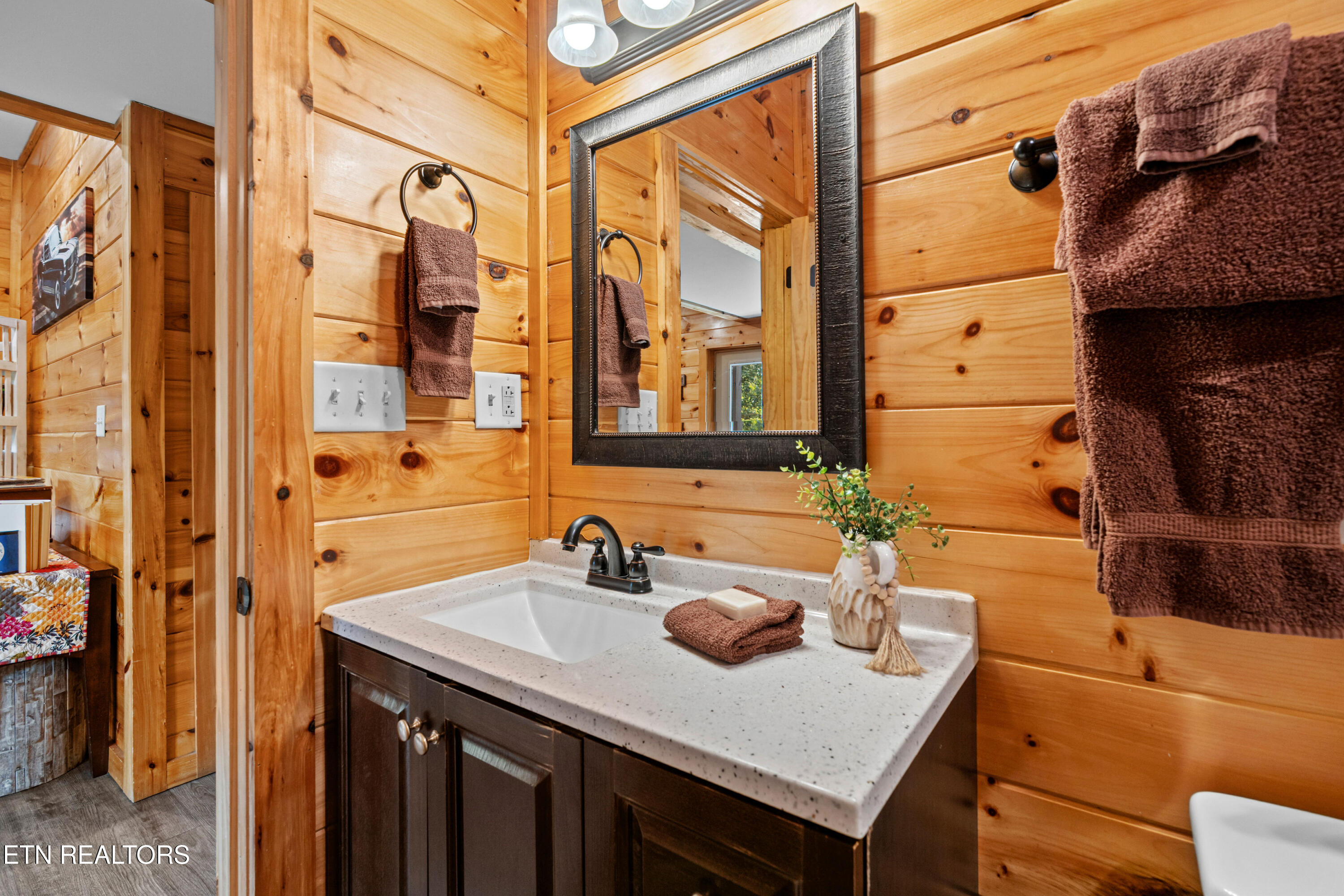 705 Rondayview Lane Sevierville, TN 37876 - Photo 51 of 59 firefly-bluff-45