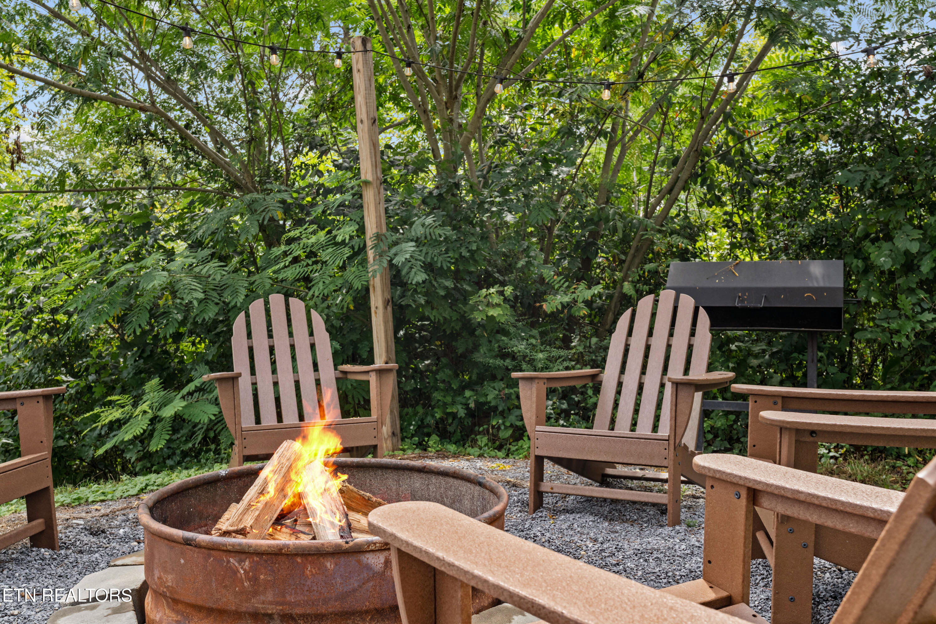 705 Rondayview Lane Sevierville, TN 37876 - Photo 55 of 59 firefly-bluff-55