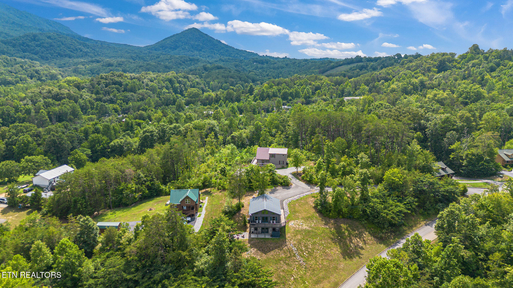 705 Rondayview Lane Sevierville, TN 37876 - Photo 57 of 59 firefly-bluff-58