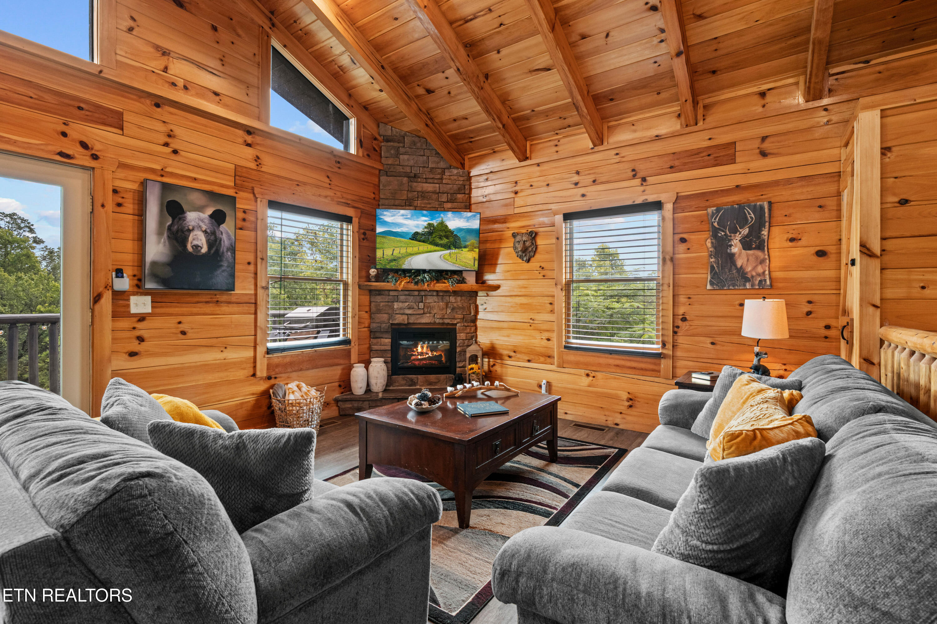 705 Rondayview Lane Sevierville, TN 37876 - Photo 8 of 59 firefly-bluff-7