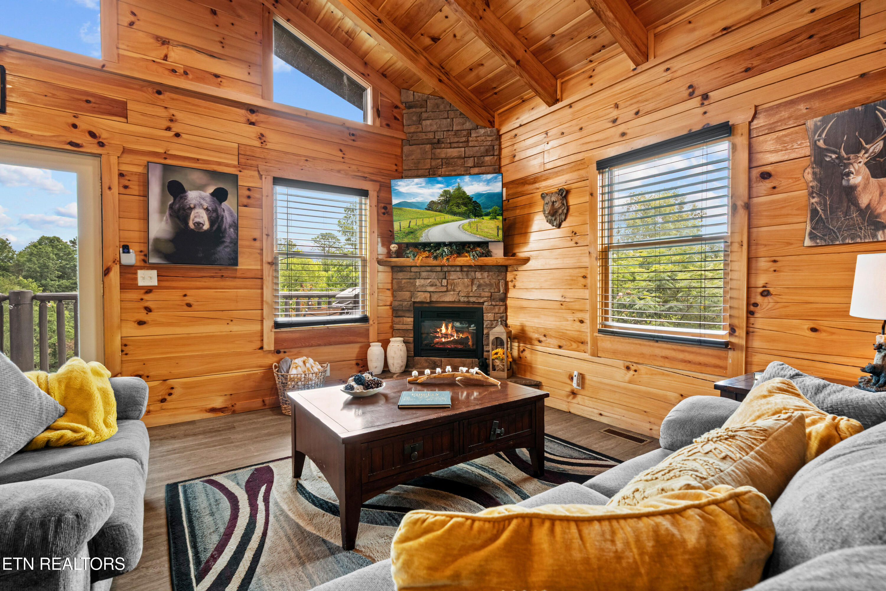 705 Rondayview Lane Sevierville, TN 37876 - Photo 9 of 59 firefly-bluff-10