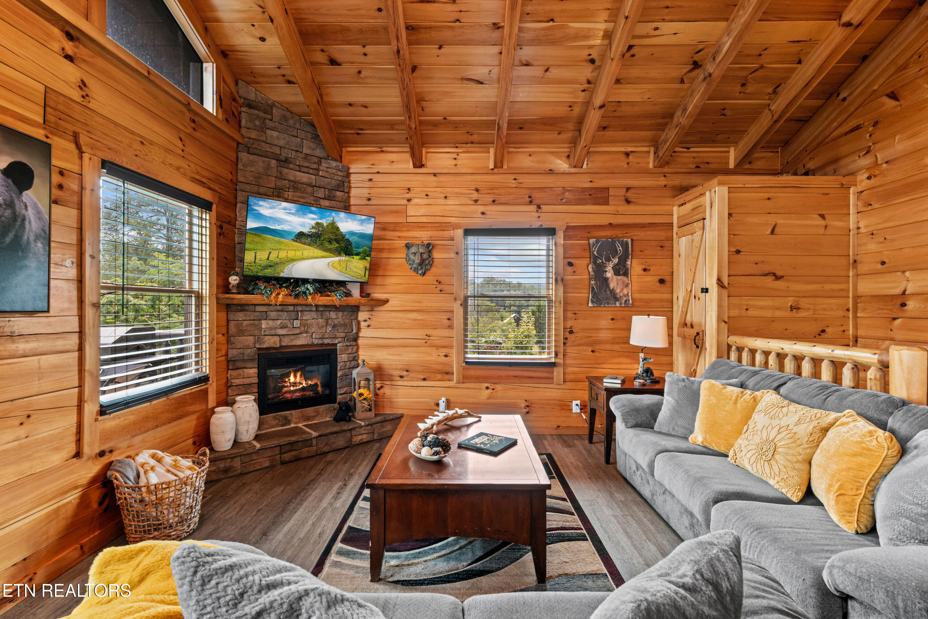 705 Rondayview Lane Sevierville, TN 37876 - Photo 10 of 59 firefly-bluff-6