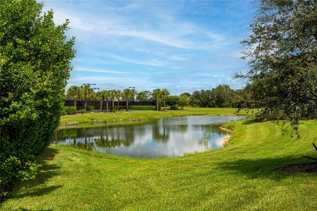 5420 Cicerone Street, Unit 101 Sarasota, FL 34238 - Photo 26 of 40 a view of a lake with a big yard