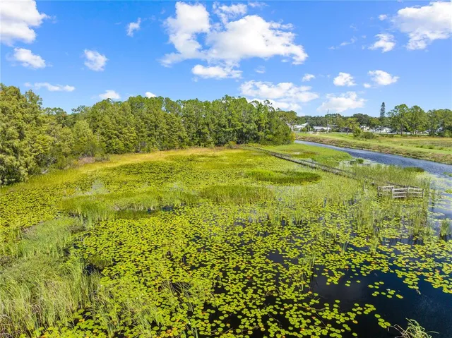 a view of a yard with an outdoor space